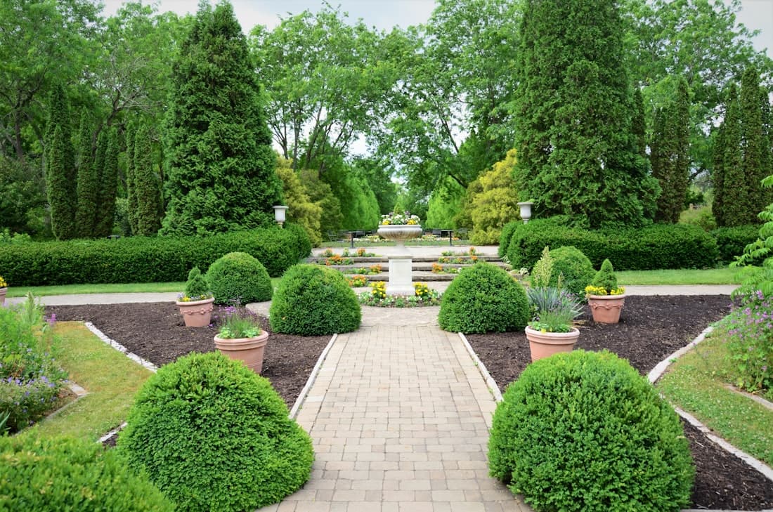Vivero Hernández 1